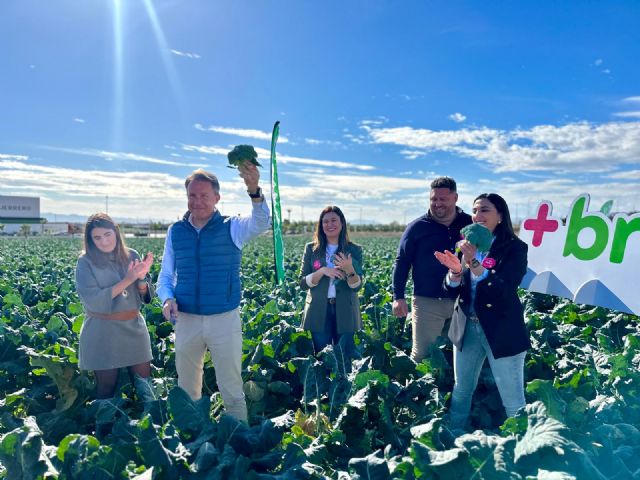 Arranca en Lorca la XX campaña nacional de promoción del brócoli bajo el lema Mejor con brócoli - 1, Foto 1