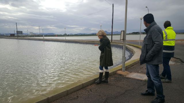 La consejera Martínez-Cachá visita finca afectadas por las fuertes precipitaciones - 1, Foto 1