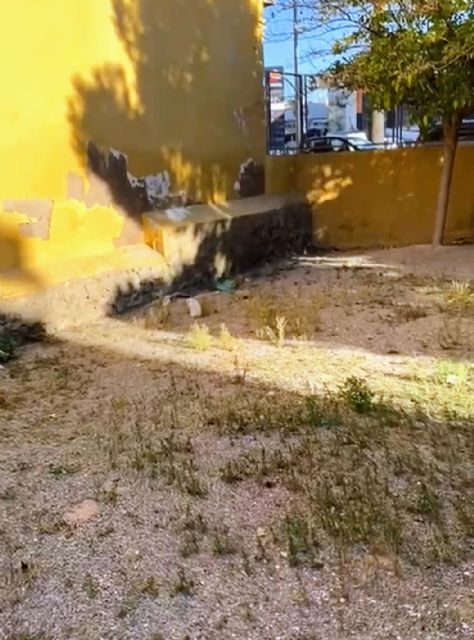 Sí Cartagena denuncia el estado de abandono del antiguo colegio El Cuco - 3, Foto 3