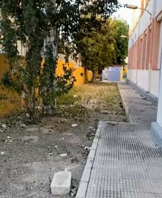 Sí Cartagena denuncia el estado de abandono del antiguo colegio El Cuco - 4, Foto 4