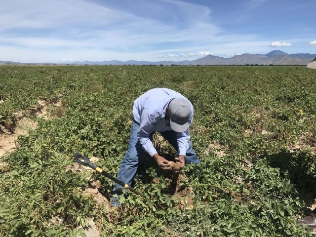 Unión de Uniones pide que la futura Ley de Agricultura Familiar favorezca a los agricultores y ganaderos profesionales españoles - 1, Foto 1