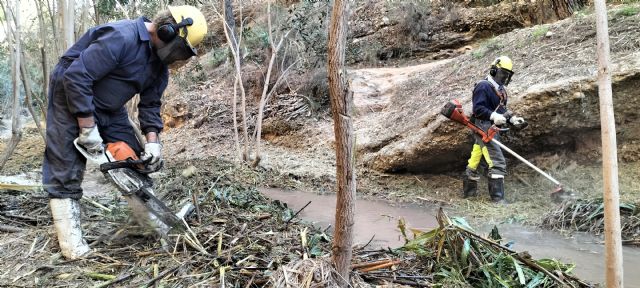 La CHS impulsa la mejora ambiental de la Reserva Natural Fluvial del río Chícamo - 1, Foto 1