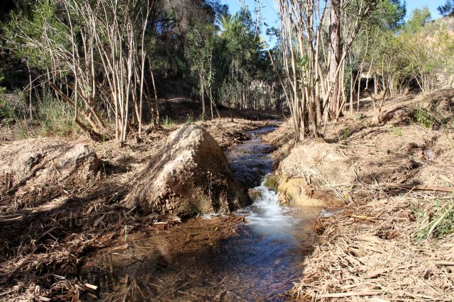 La CHS impulsa la mejora ambiental de la Reserva Natural Fluvial del río Chícamo - 2, Foto 2