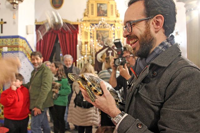 Bendición de animales en Sevilla por el día de San Antón en la Divina Pastora de Santa Marina - 3, Foto 3