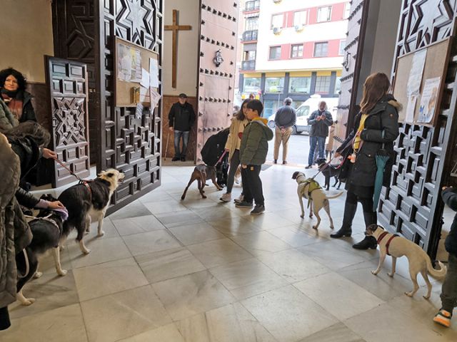 Sevilla. Se continua con la tradición de la Bendición de animales doméstico en la parroquia de San Roque de Sevilla - 2, Foto 2