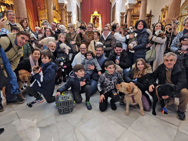 Sevilla. Se continua con la tradición de la Bendición de animales doméstico en la parroquia de San Roque de Sevilla - 3, Foto 3