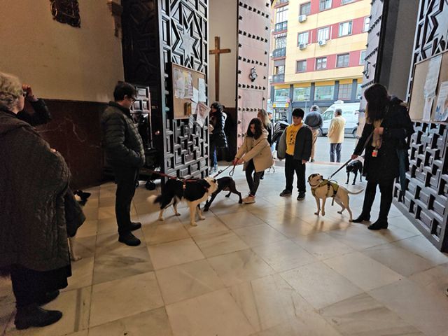 Sevilla. Se continua con la tradición de la Bendición de animales doméstico en la parroquia de San Roque de Sevilla - 5, Foto 5