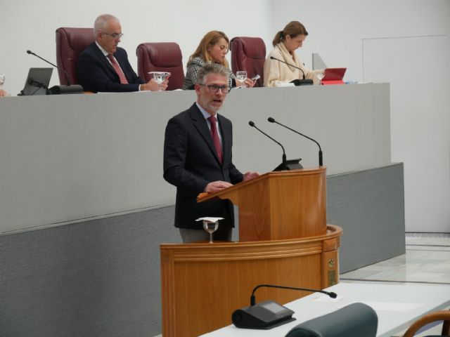 La Asamblea aprueba crear la Comisión de Despoblación y Reto Demográfico propuesta por el PP - 1, Foto 1