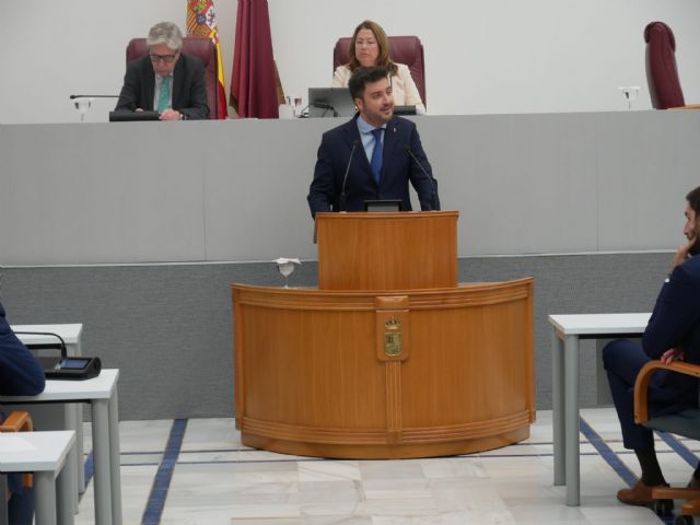 Landáburu: La estrategia de Pedro Sánchez con el Bono Alquiler Joven pretende confrontar a las Comunidades Autónomas y crispar a la juventud - 1, Foto 1