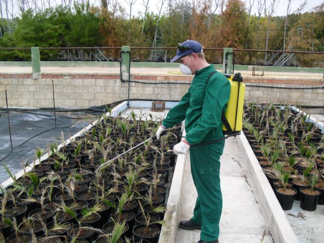 La Comunidad destina 300.000 euros para asistir a más de 200 trabajadores con discapacidades  severas - 1, Foto 1