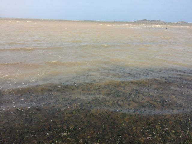 Ciudadanos denuncia el estado de la playa en Los Urrutias y anuncia su apuesta por recuperar el Aula de la Naturaleza - 3, Foto 3