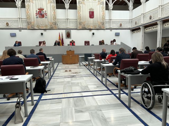 El Pleno de la Asamblea Regional aprueba dos Declaraciones Institucionales de apoyo a las personas con Síndrome de Down - 1, Foto 1