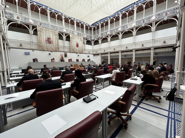 El Pleno de la Asamblea Regional aprueba dos Declaraciones Institucionales de apoyo a las personas con Síndrome de Down - 2, Foto 2