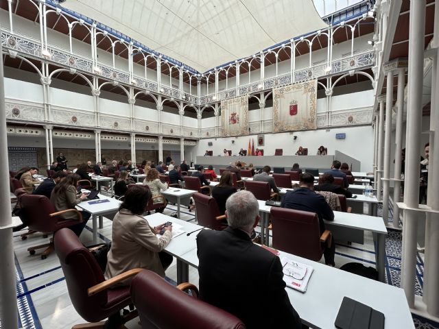 El Pleno de la Asamblea Regional aprueba dos Declaraciones Institucionales de apoyo a las personas con Síndrome de Down - 3, Foto 3