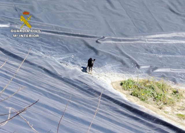 La Guardia Civil investiga a dos personas por el abandono de dos canes - 2, Foto 2