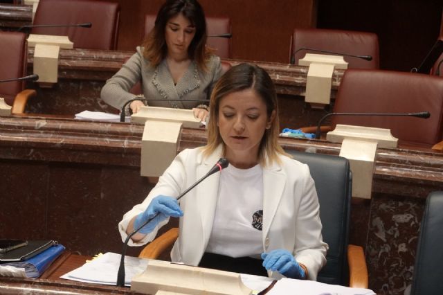 Mª. Dolores Valcárcel: Damos un paso más en la aprobación de los presupuestos, que serán muy útiles para muchos colectivos y entidades necesitados de ayuda económica - 1, Foto 1