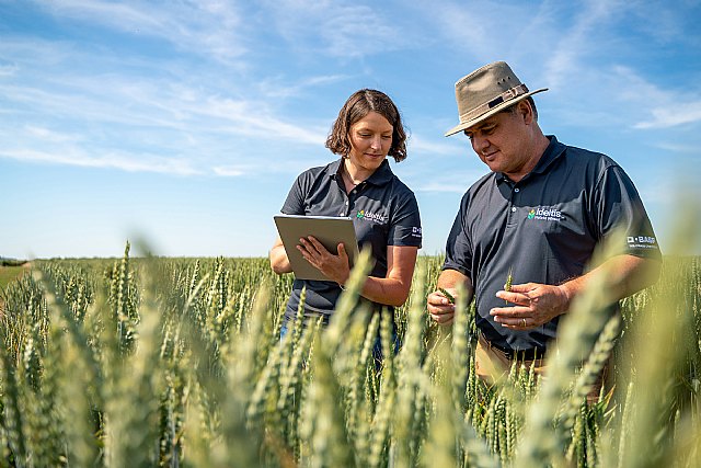 BASF presenta su próxima cartera de innovaciones para la agricultura - 1, Foto 1