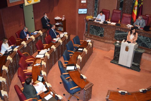 La Asamblea Regional pide al Gobierno de España de que ponga en marcha un Plan de Conciliación Familiar Nacional - 1, Foto 1