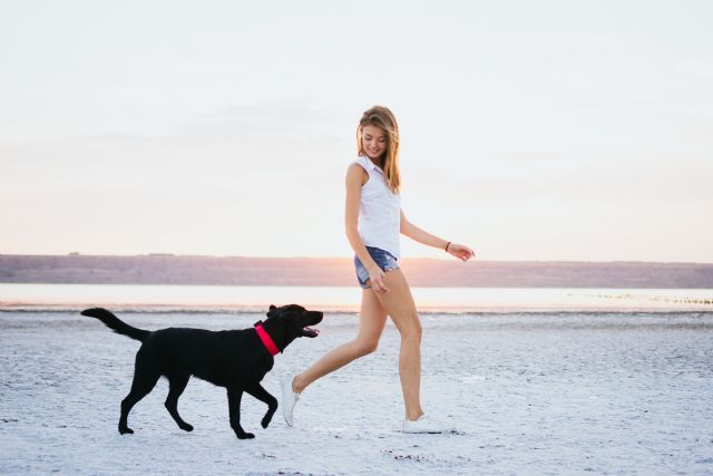 La mitad de los españoles no encuentra cuidador para su perro durante las vacaciones - 1, Foto 1