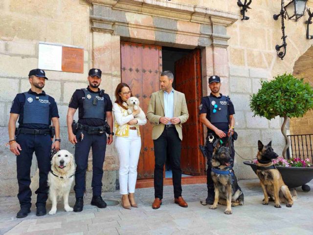 La Policía Local de Caravaca refuerza su unidad canina con la incorporación de un agente y dos perros - 1, Foto 1