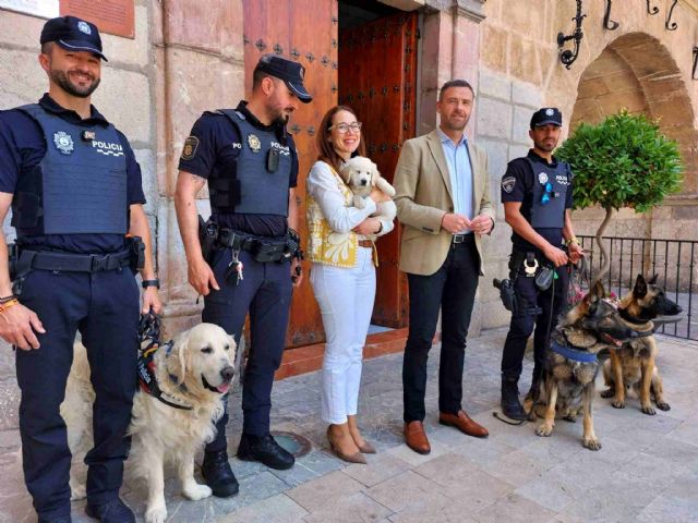 La Policía Local de Caravaca refuerza su unidad canina con la incorporación de un agente y dos perros - 2, Foto 2