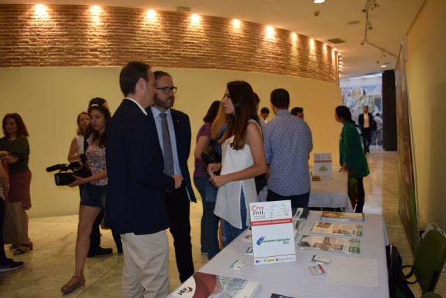 La caída del paro juvenil ya triplica la del conjunto de la población - 1, Foto 1