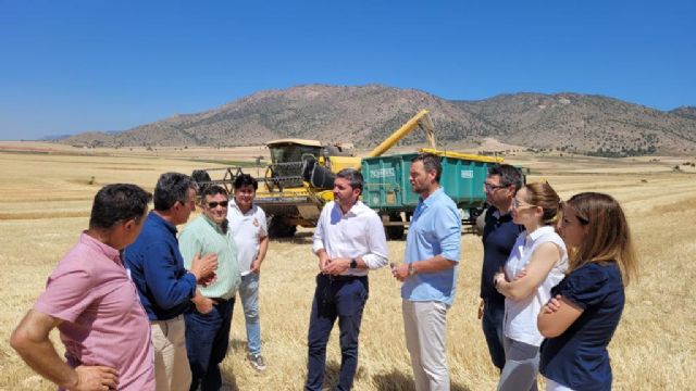 La Comunidad destina nueve millones en ayudas a 112 agricultores murcianos para la protección de aves esteparias - 1, Foto 1