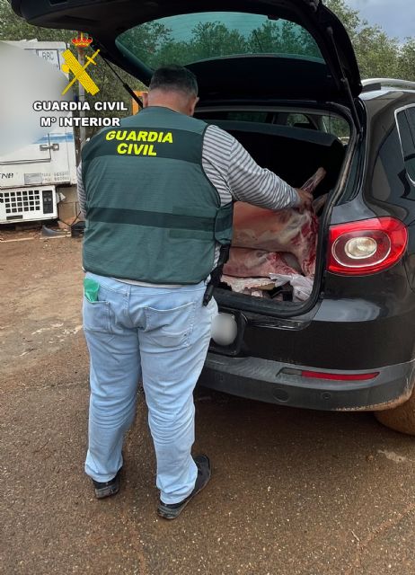 La Guardia Civil desmantela un grupo delictivo dedicado a la sustracción de ganado en el Campo de Cartagena - 1, Foto 1