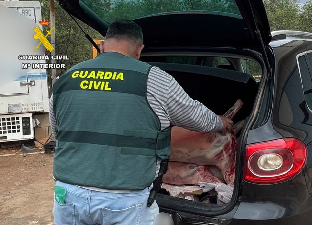 La Guardia Civil desmantela un grupo delictivo dedicado a la sustracción de ganado en el Campo de Cartagena - 5, Foto 5