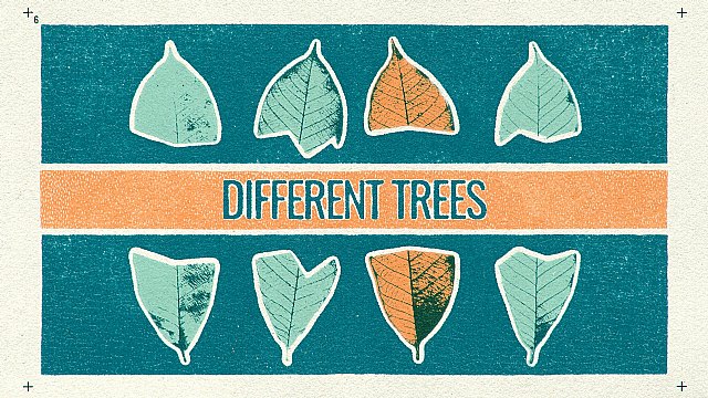 LUBACK estrena vídeo para DIFFERENT TREES, primer adelanto de su próximo trabajo - 1, Foto 1