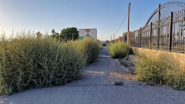 El PSOE exige al PP la limpieza del carril bici paralelo a la carretera de Águilas a su paso por Cazalla y Purias y la implantación de un Plan de Mantenimiento continuado - 1, Foto 1