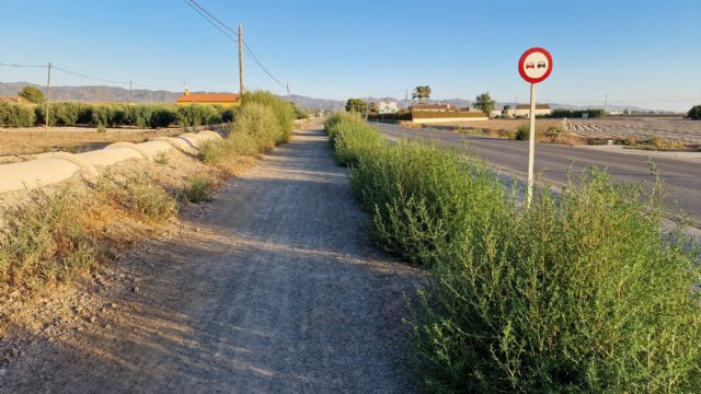 El PSOE exige al PP la limpieza del carril bici paralelo a la carretera de Águilas a su paso por Cazalla y Purias y la implantación de un Plan de Mantenimiento continuado - 3, Foto 3