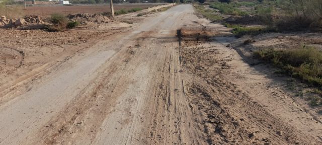 El PSOE de Lorca exige la reparación de los desperfectos ocasionados por la lluvia en la pedanía de Almendricos - 4, Foto 4