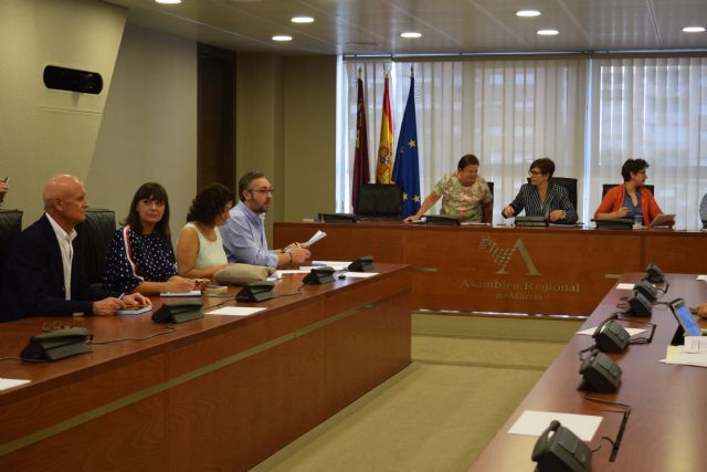 El PP pide anular el debate de una moción aprobada el pasado jueves tras admitir hoy  la Junta de Portavoces su recurso ante el rechazo de una enmienda - 1, Foto 1