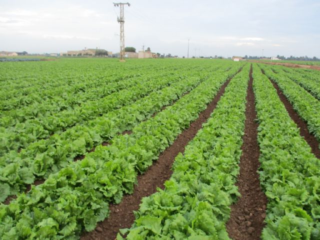 Agrogreen es el nuevo proyecto del CTNC que evalúa los contaminantes emergentes en sistemas de cultivos regados con aguas regeneradas - 1, Foto 1