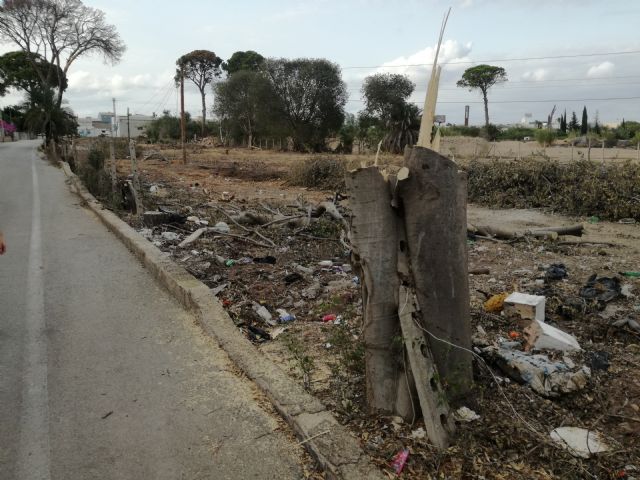 Huerta Viva denuncia la tala de especies protegidas junto a los pinos de Churra - 1, Foto 1