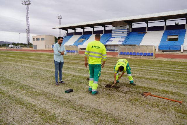 Labores habituales de adecuación y resiembra del césped del Uva Monastrell - 4, Foto 4