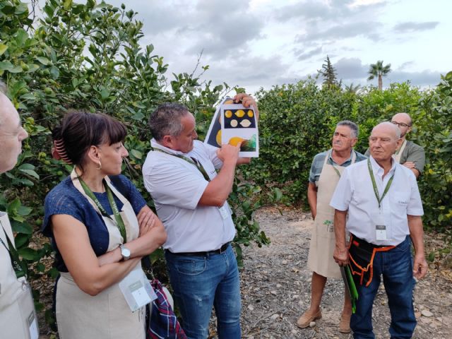 La Mancomunidad de Sierra Espuña y el Ayuntamiento de Pliego organizan el primer curso de agroturismo del TSE - 4, Foto 4