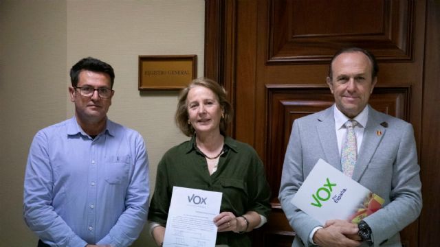 VOX presenta una iniciativa para modificar el padrón municipal en los casos de ocupación e inmigración ilegal - 1, Foto 1