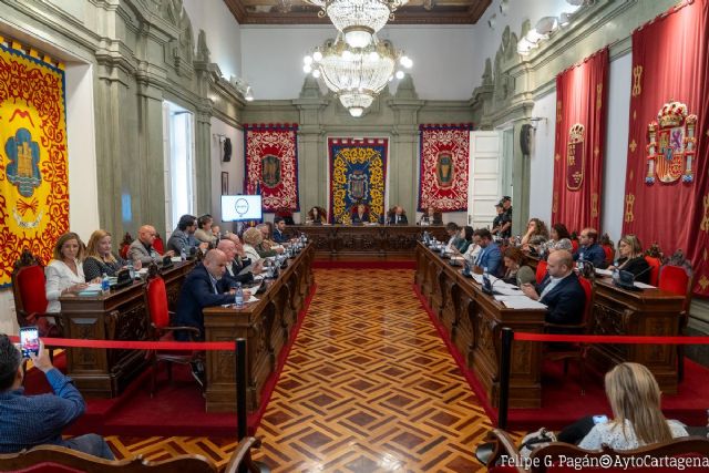 El pleno aprueba por unanimidad la nueva ordenanza general de recaudación - 1, Foto 1