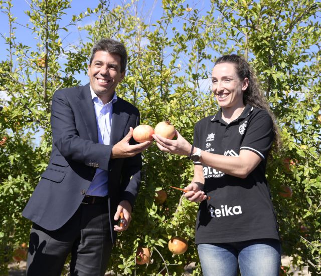 La producción de granada mollar de Elche con Denominación de Origen cae un 30% por las olas de calor de este verano - 1, Foto 1