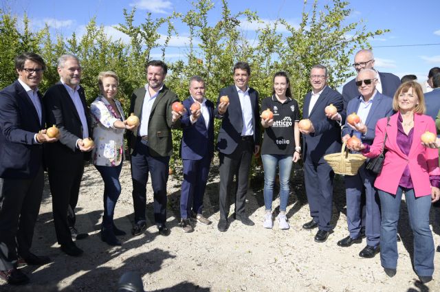 La producción de granada mollar de Elche con Denominación de Origen cae un 30% por las olas de calor de este verano - 5, Foto 5