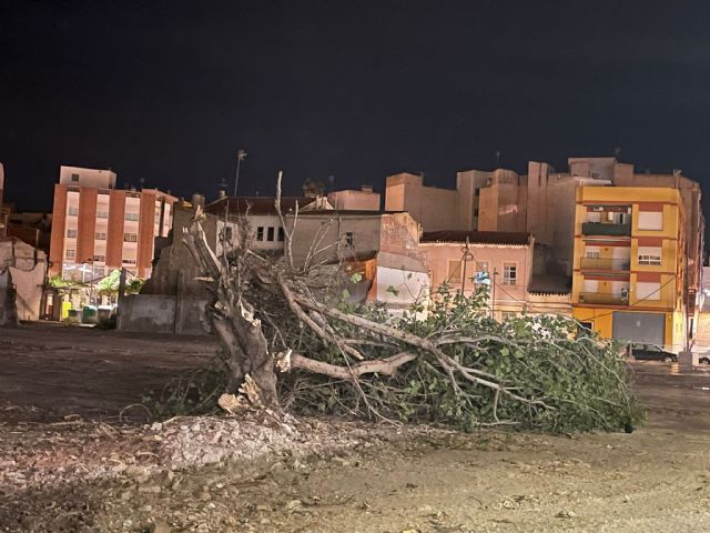 Las fuertes rachas de viento arrancan el tejado de una vivienda y un árbol en Lorca - 2, Foto 2