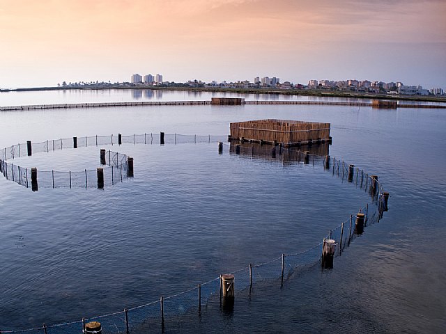 La Comunidad y el Ministerio acuerdan trabajar en el desarrollo de tecnología innovadora para desnitrificar el agua que afecta al Mar Menor - 1, Foto 1