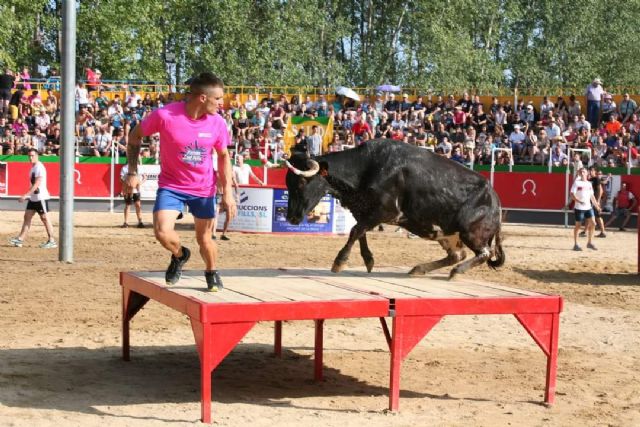 Los aficionados de cataluña resisten al antitaurinismo político - 1, Foto 1