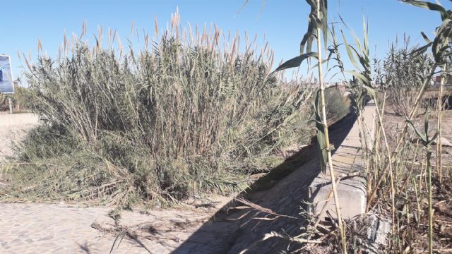 Sí Cartagena reclama la limpieza de la rambla de Canteras desde la RM332 hasta Benipila - 1, Foto 1