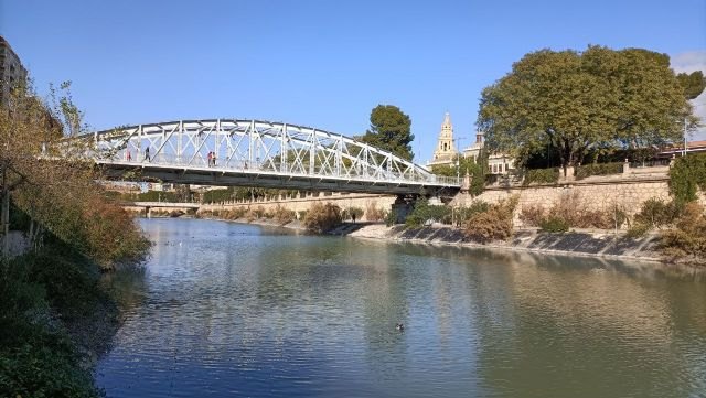 La Comunidad declara Bien de Interés Cultural el Puente Nuevo o de Hierro de Murcia - 1, Foto 1