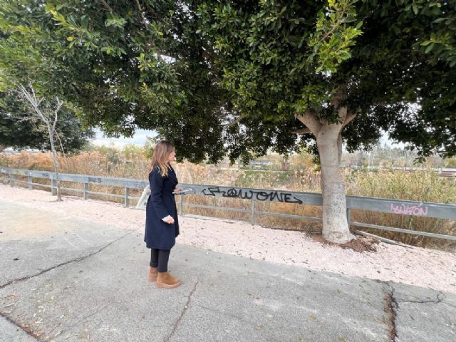 El Ayuntamiento repara el paseo existente entre el parking del Cuartel de Artillería y el cauce del río Segura - 1, Foto 1