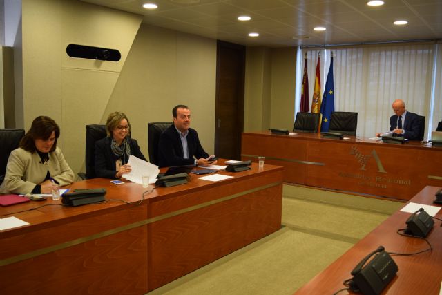 El PP solicita una comisión interministerial para regular la profesión de sicólogo de emergencias - 1, Foto 1