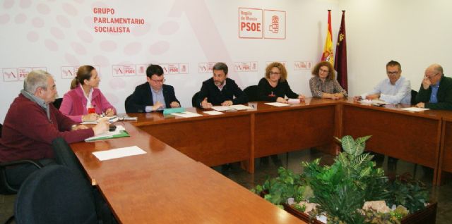 El PSOE reclama al Gobierno regional el cumplimiento de los acuerdos en materia de carrera profesional del Personal de Administración y Servicios de la Comunidad Autónoma - 1, Foto 1